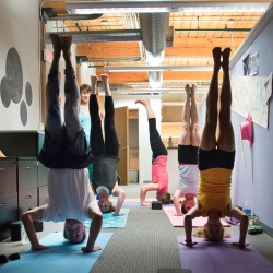 ABZ yogis occasionally break to do headstands in the office.