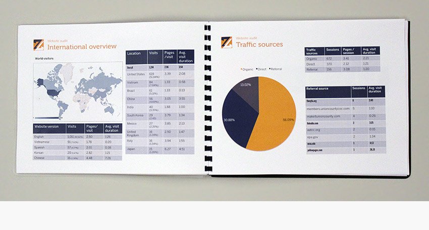 Goulston Technologies website audit with traffic sources and international website visitors