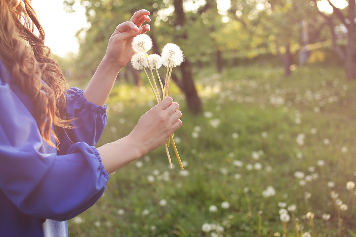Woman in a field with dandelions